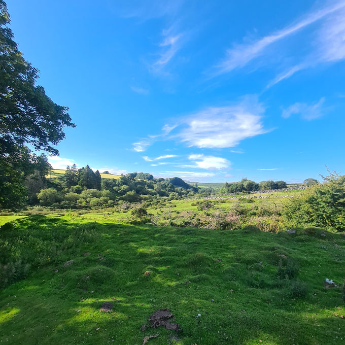 duke of edinburgh bronze | duke of edinburgh award bronze | duke of edinburgh award | duke of edinburgh | DofE bronze award | DofE bronze | bronze duke of edinburgh award requirements | DofE Dorset | DofE In Dorset | DofE in the Purbecks | Wareham
