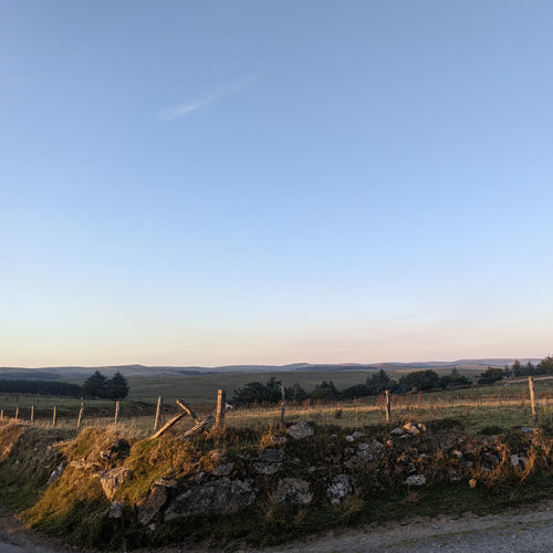 duke of edinburgh award Gold | duke of edinburgh award | duke of edinburgh | DofE Gold award | DofE Gold | Gold duke of edinburgh award requirements | Gold DofE award | Gold d of e award | Gold award DofE | DofE Dorset | DofE Dartmoor